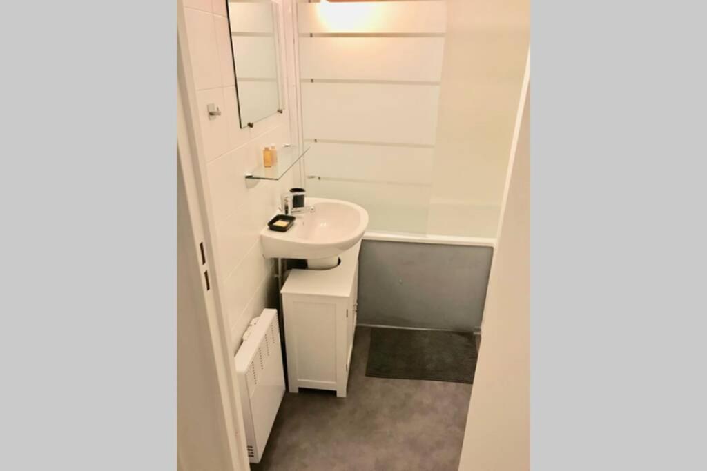 Апартаменти Loft Sous Les Toits Lumineux - Capitole-Daurade-Esquirol - Wifi Тулуза Екстер'єр фото